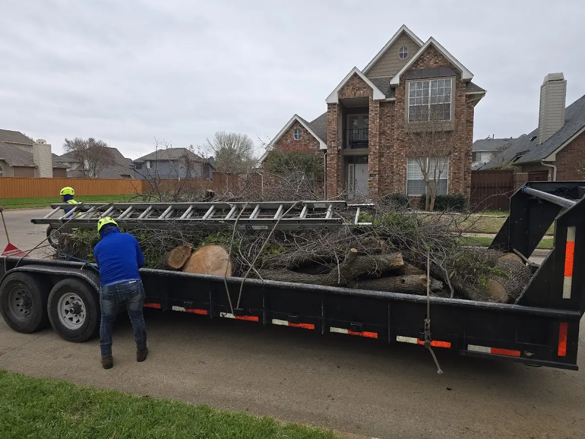 Expert Tree Fertilization with proper safety equipment in Frenchville
